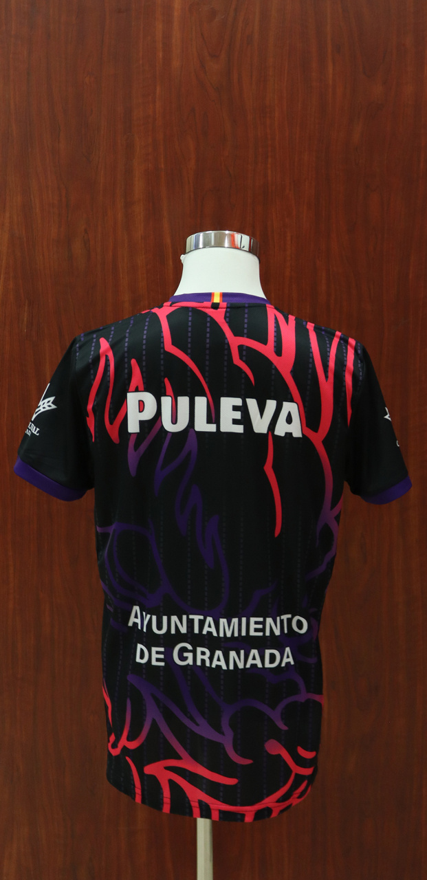 Camiseta 3ª equipación ACB 24/25